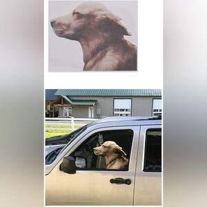 NWT 1 Pc Dog Facing Left Window Decal